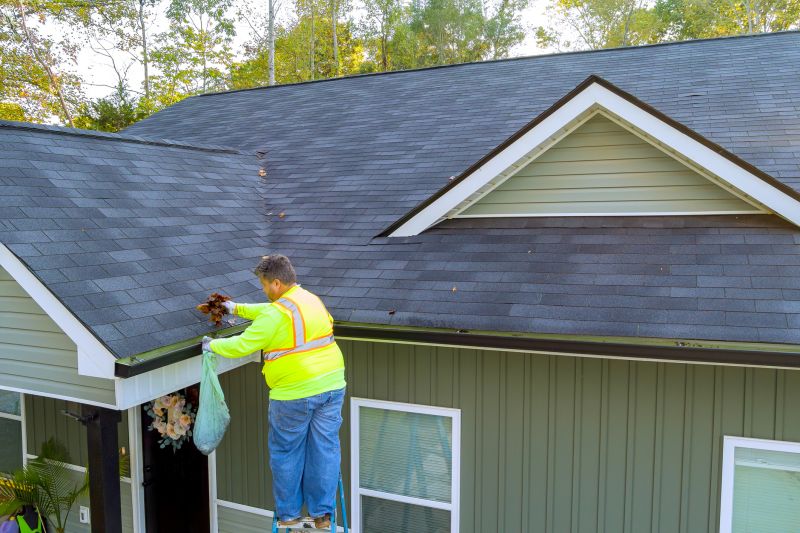 Gutter and Roof Edge Work